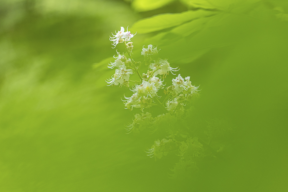 Platz 3 Conny Kleiner